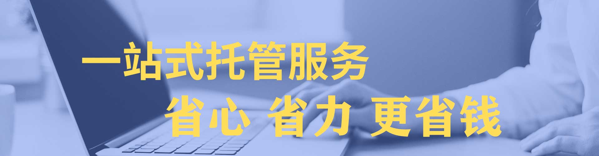 鸟松sem优化师